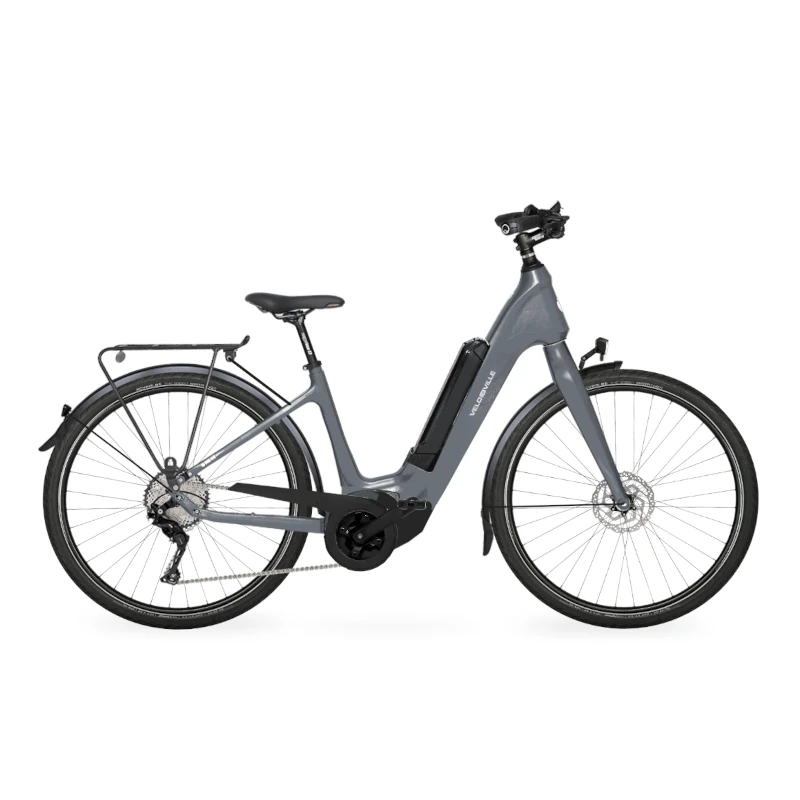 Velo de Ville CEB 900 Carbon 9 Gang mit Bosch Performance Line CX