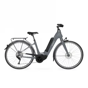 Velo de Ville CEB 900 Carbon 10 Gang mit Bosch Performance Line CX