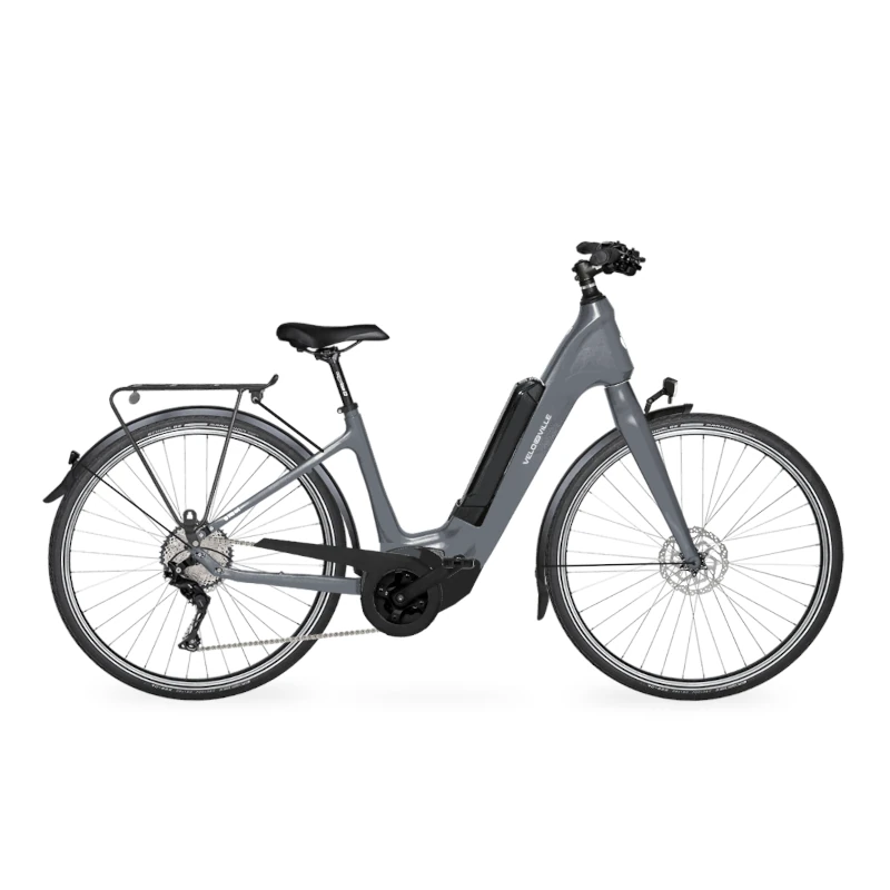 Velo de Ville CEB 900 Carbon 10 Gang mit Bosch Performance Line CX